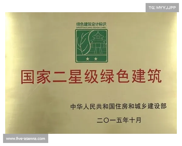 世俱杯场馆最后验收，绿色建筑标准达标